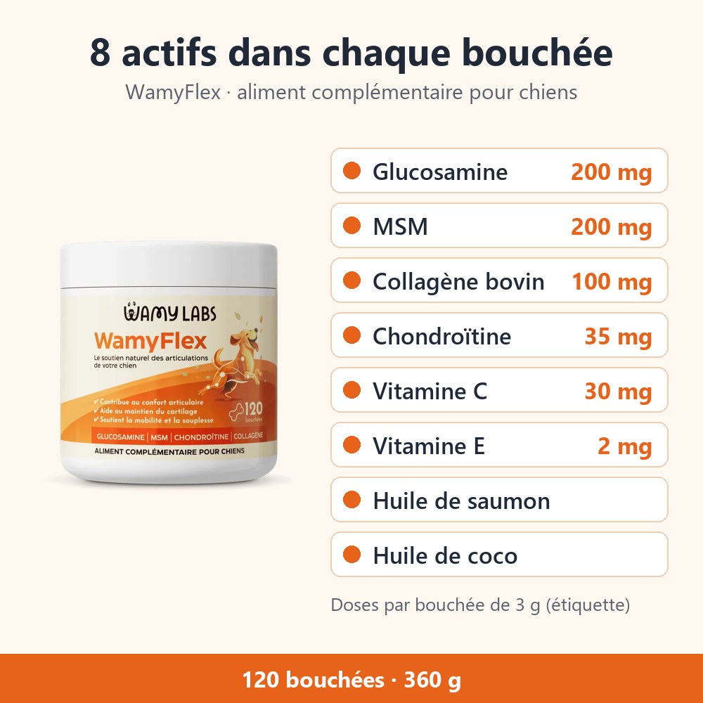 Les 8 actifs de WamyFlex : glucosamine 200 mg, MSM 200 mg, collagène bovin 100 mg, chondroïtine 35 mg, vitamine C 30 mg, vitamine E 2 mg, huile de saumon, huile de coco