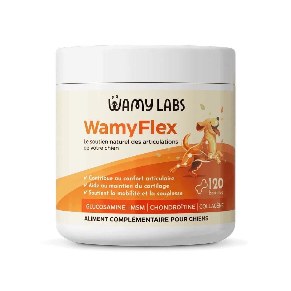 WamyFlex - Boîte Friandises Articulaires